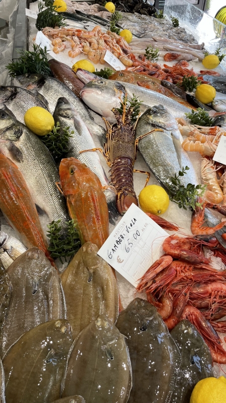 retreat-Oct-2023-the-atelier-9